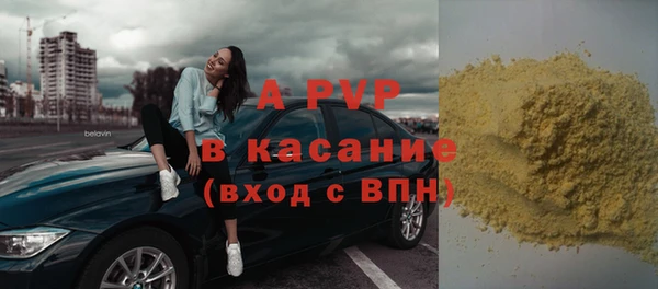 PSILOCYBIN Пересвет