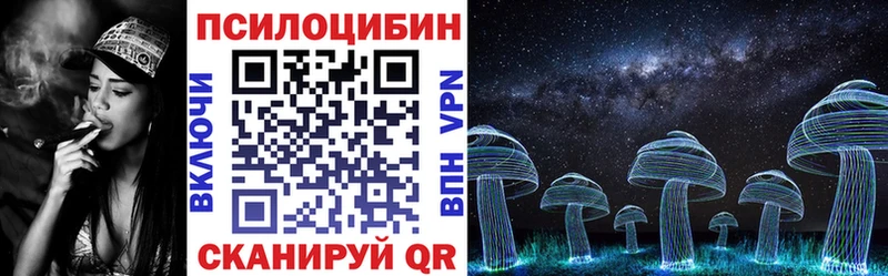 Псилоцибиновые грибы Cubensis Воронеж